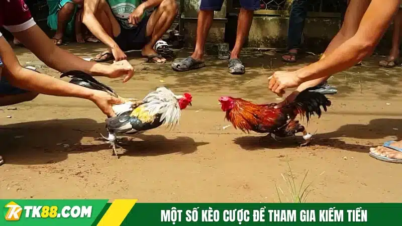 Một số kèo cược để tham gia kiếm tiền
